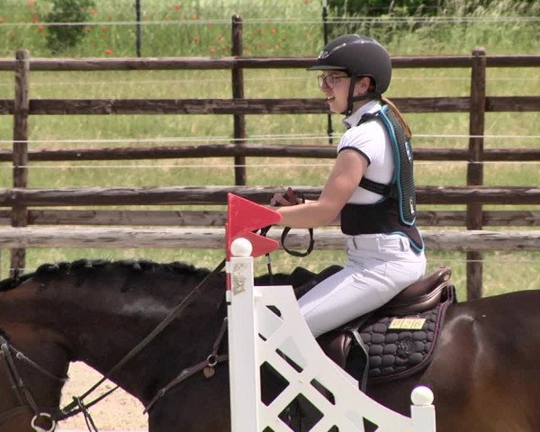 Reitturnier Worms-Pfeddersheim / Reitsportanlage Wittemer 2021