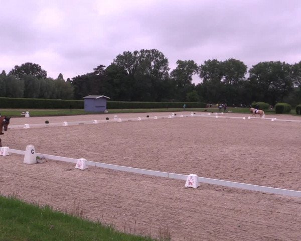 Reitturnier Münster-Handorf 2021