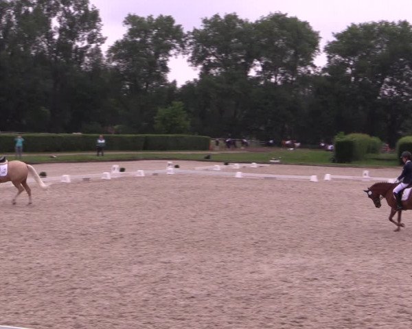 Reitturnier Münster-Handorf 2021
