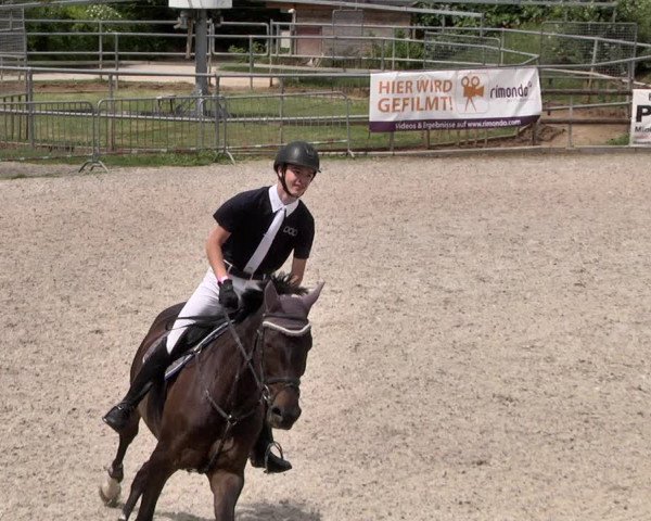 Reitturnier Worms-Pfeddersheim / Reitsportanlage Wittemer 2021