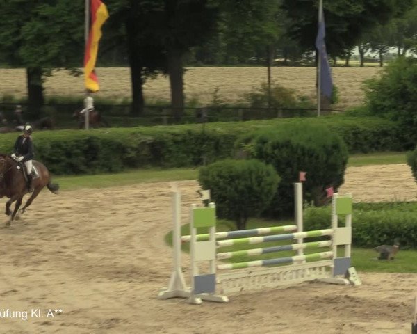 Reitturnier Recklinghausen 2021