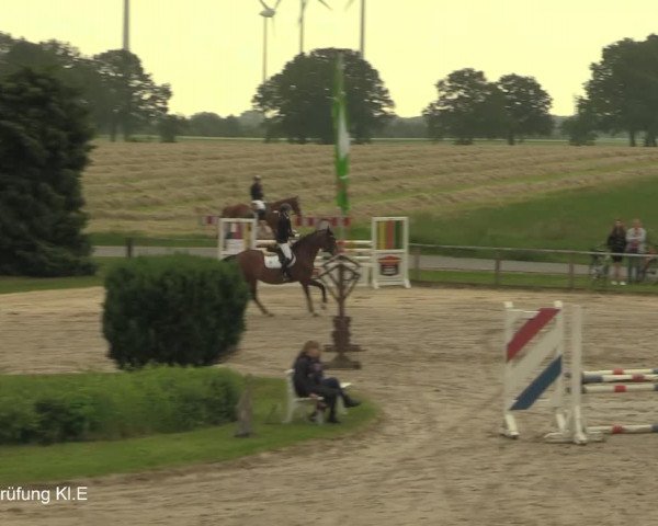 Reitturnier Recklinghausen 2021
