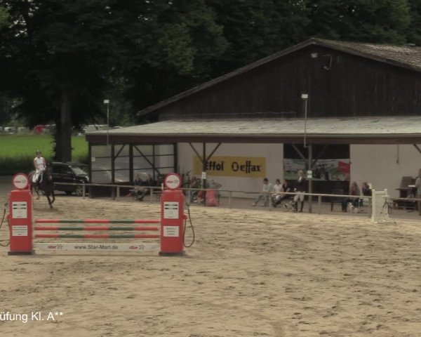Reitturnier Recklinghausen 2021