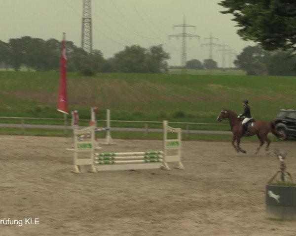 Reitturnier Recklinghausen 2021
