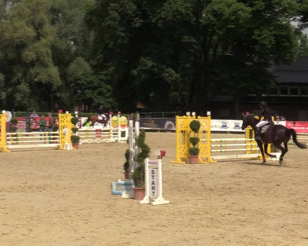 Reitturnier Münster-Handorf 2021