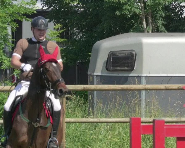 Reitturnier Lahr-Langenwinkel 2021