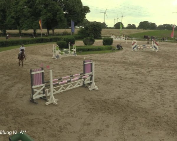 Reitturnier Recklinghausen 2021