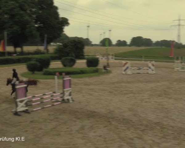 Reitturnier Recklinghausen 2021