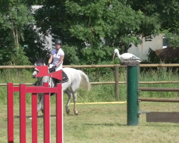 Reitturnier Lahr-Langenwinkel 2021