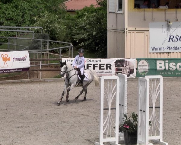 Reitturnier Worms-Pfeddersheim / Reitsportanlage Wittemer 2021