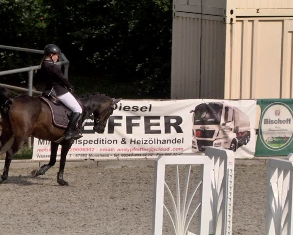 Reitturnier Worms-Pfeddersheim / Reitsportanlage Wittemer 2021