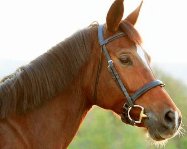 broodmare Lorca GR (Rhinelander, 2007, from Lorgos GL)