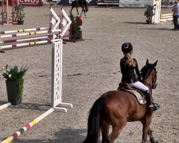 Reitturnier Worms-Pfeddersheim / Reitsportanlage Wittemer 2021