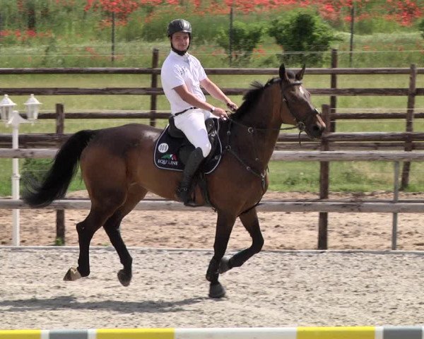 Reitturnier Worms-Pfeddersheim / Reitsportanlage Wittemer 2021
