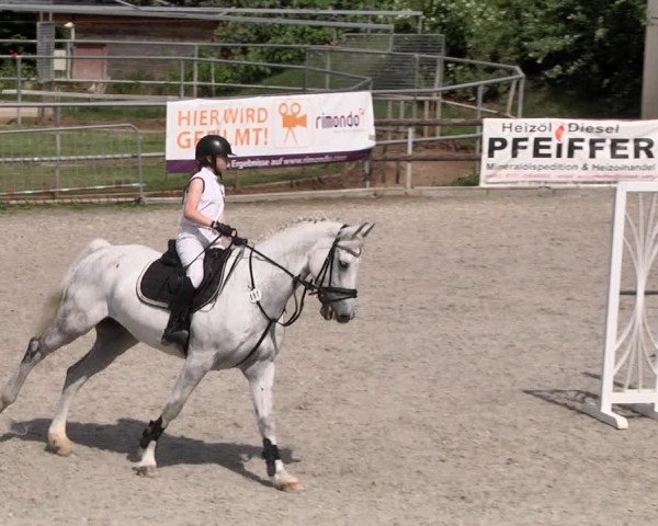 Reitturnier Worms-Pfeddersheim / Reitsportanlage Wittemer 2021