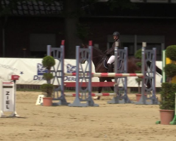 Reitturnier Münster-Handorf 2021