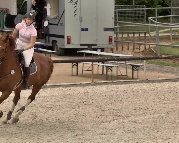 Reitturnier Worms-Pfeddersheim / Reitsportanlage Wittemer 2021