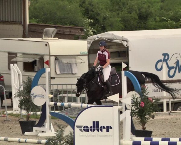 Reitturnier Worms-Pfeddersheim / Reitsportanlage Wittemer 2021