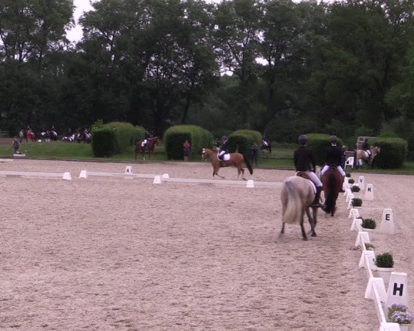 Reitturnier Münster-Handorf 2021