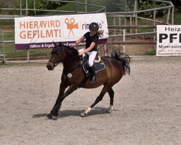 Reitturnier Worms-Pfeddersheim / Reitsportanlage Wittemer 2021