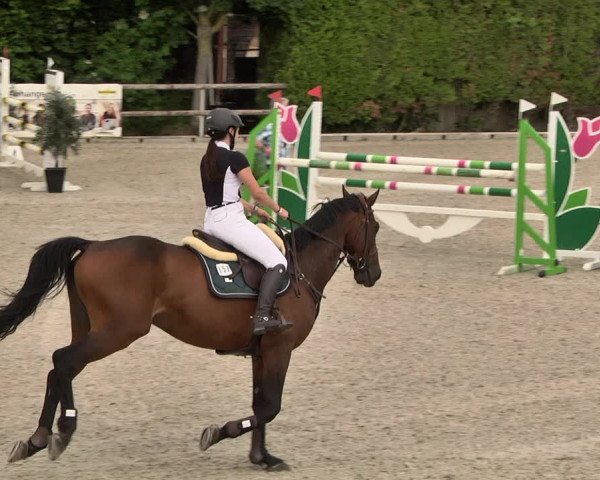 Reitturnier Worms-Pfeddersheim / Reitsportanlage Wittemer 2021