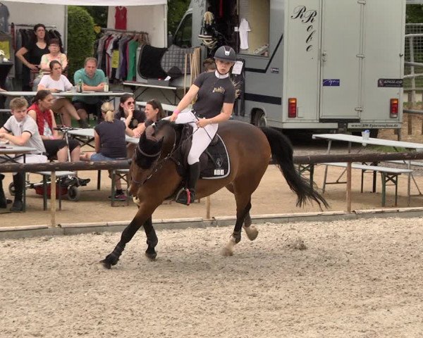 Reitturnier Worms-Pfeddersheim / Reitsportanlage Wittemer 2021