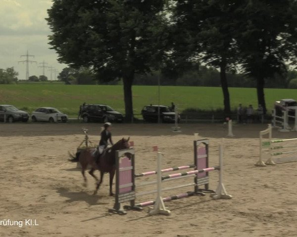 Reitturnier Recklinghausen 2021