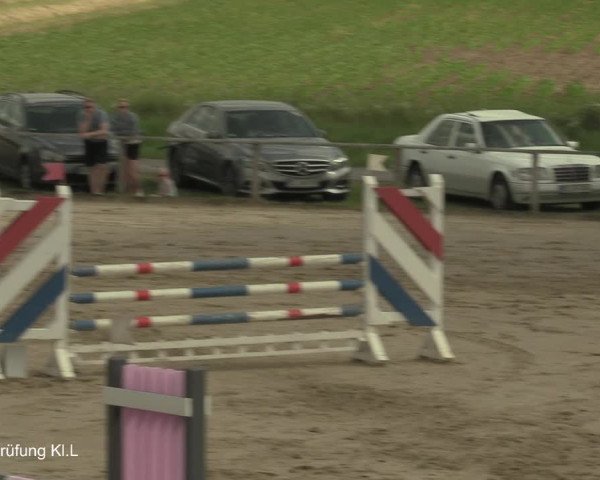 Reitturnier Recklinghausen 2021
