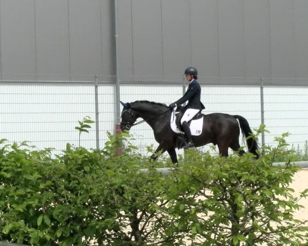 Reitturnier Nürnberg/Mfr. 2021
