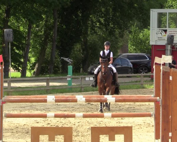 Reitturnier Münster-Handorf 2021