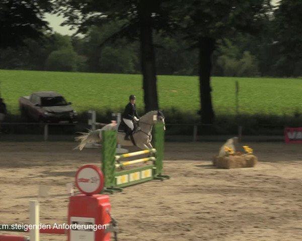 Reitturnier Recklinghausen 2021
