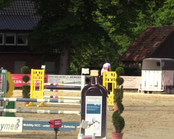 Reitturnier Münster-Handorf 2021