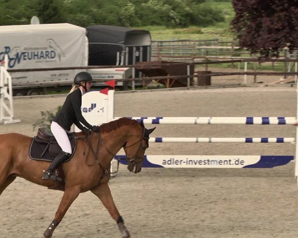 Reitturnier Worms-Pfeddersheim / Reitsportanlage Wittemer 2021
