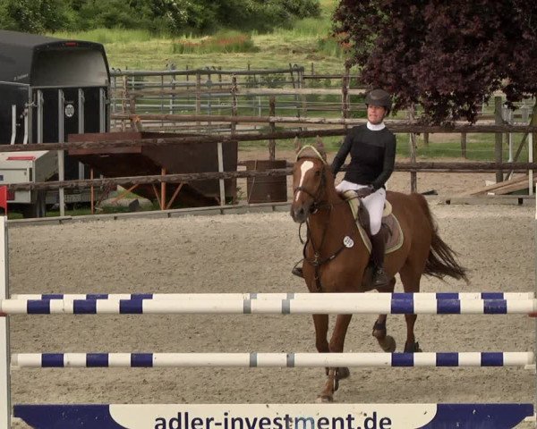 Reitturnier Worms-Pfeddersheim / Reitsportanlage Wittemer 2021