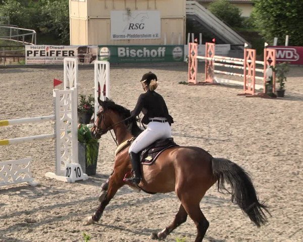 Reitturnier Worms-Pfeddersheim / Reitsportanlage Wittemer 2021