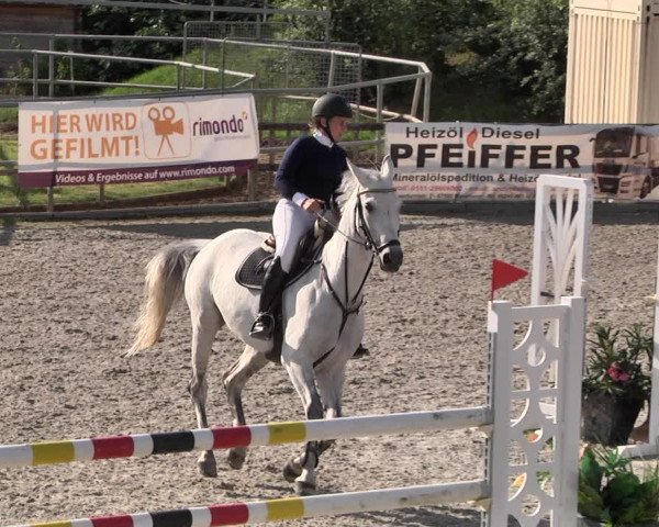 Reitturnier Worms-Pfeddersheim / Reitsportanlage Wittemer 2021