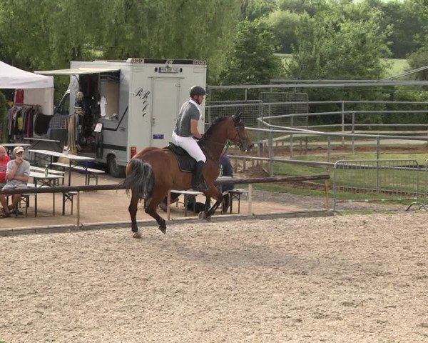Reitturnier Worms-Pfeddersheim / Reitsportanlage Wittemer 2021