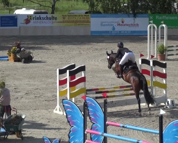 Reitturnier Monheim - Gut Blee 2021
