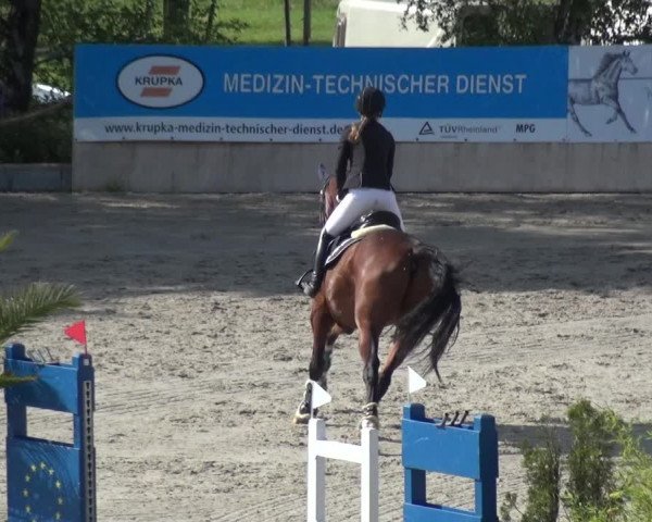 Reitturnier Monheim - Gut Blee 2021