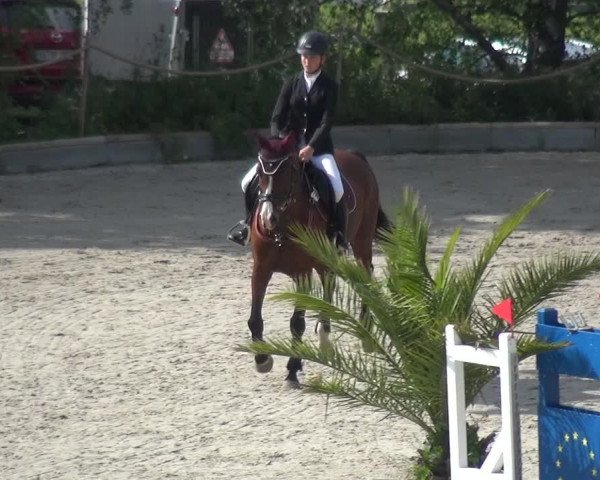 Reitturnier Monheim - Gut Blee 2021