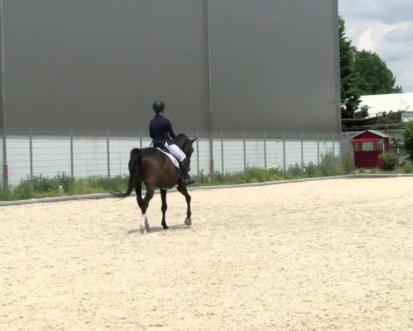 Reitturnier Nürnberg/Mfr. 2021