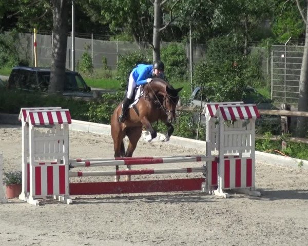 Reitturnier Monheim - Gut Blee 2021