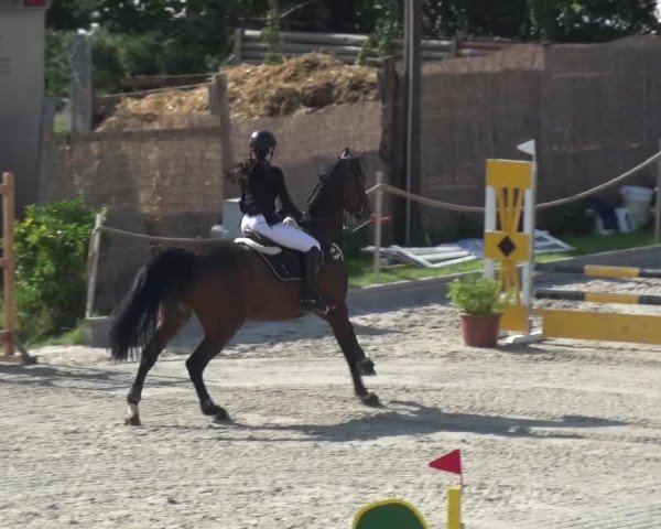 Reitturnier Monheim - Gut Blee 2021