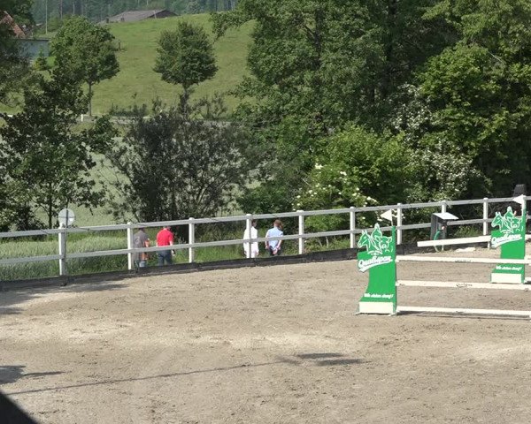 Reitturnier Aesch bei Neftenbach 2021