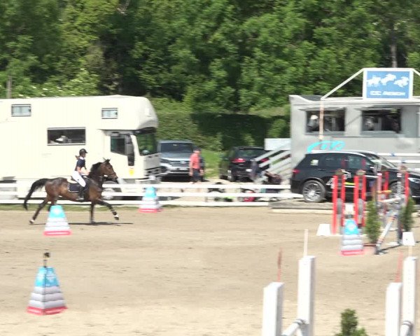 Reitturnier Aesch bei Neftenbach 2021