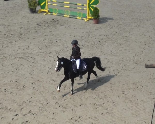 Reitturnier Monheim - Gut Blee 2021