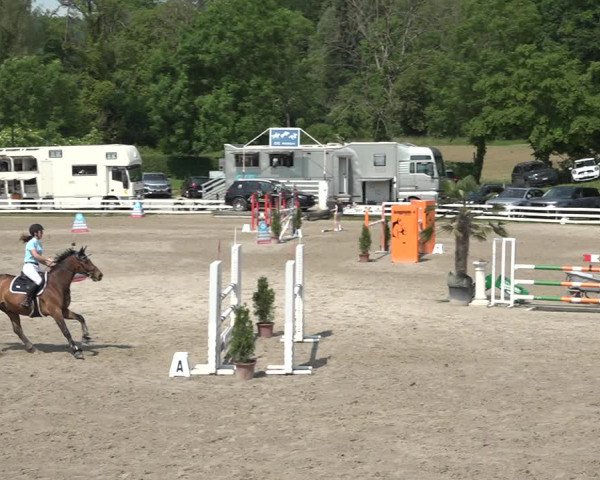 Reitturnier Aesch bei Neftenbach 2021