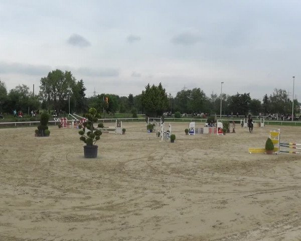 Reitturnier Bornheim-Widdig 2021