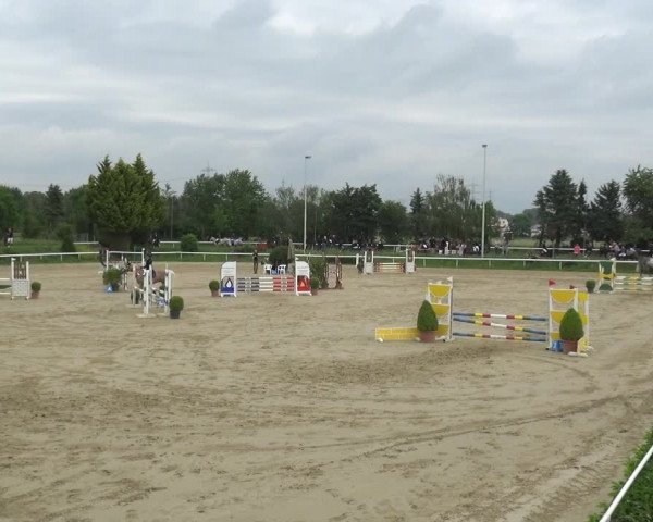 Reitturnier Bornheim-Widdig 2021