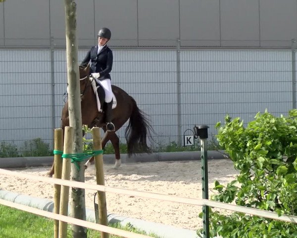 Reitturnier Nürnberg/Mfr. 2021